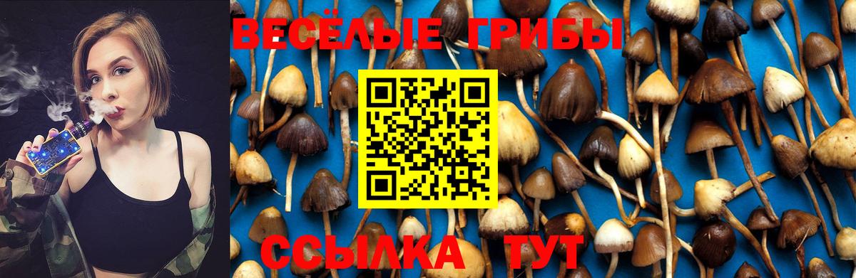 Салават  Галлюциногенные грибы Psilocybine cubensis  Псилоцибиновые грибы MAGIC MUSHROOMS  Вход с VPN 
